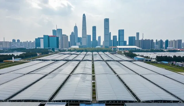 数据检索优化:定制化企业名录信息检索效率提升分析