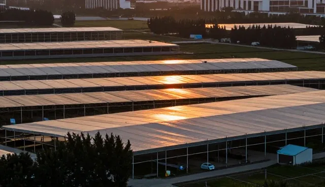 企业推广套餐支持按区域适用情况与限制