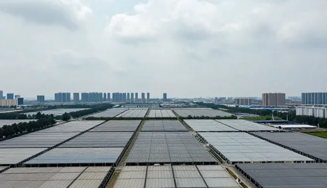 区域企业搜索在数据更新维护中的适用情况与限制