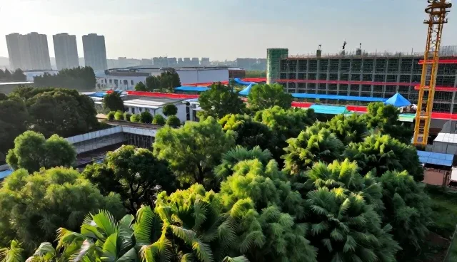 烟台网站建设对业务连续性的影响原因